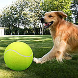 Великий тенісний м`яч 24 см, насос у комплекті. Тенісний м`яч великого розміру. Іграшка для собак, дітей, фото 2