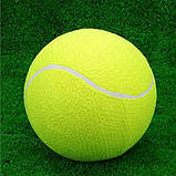 Великий тенісний м`яч 24 см, насос у комплекті. Тенісний м`яч великого розміру. Іграшка для собак, дітей, фото 3