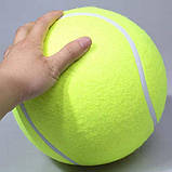 Великий тенісний м`яч 24 см, насос у комплекті. Тенісний м`яч великого розміру. Іграшка для собак, дітей, фото 4
