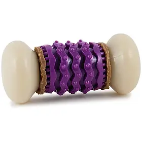 PetSafe Busy Buddy Nobbly Nubbly ПЕТСЕЙФ БІЗІ БАДДІ НОББЛІ НУББЛІ жувальна іграшка для собак