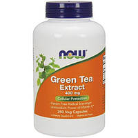 Зеленый чай NOW Foods Green Tea Extract 400 mg 250 Veg Caps UP, код: 7518387