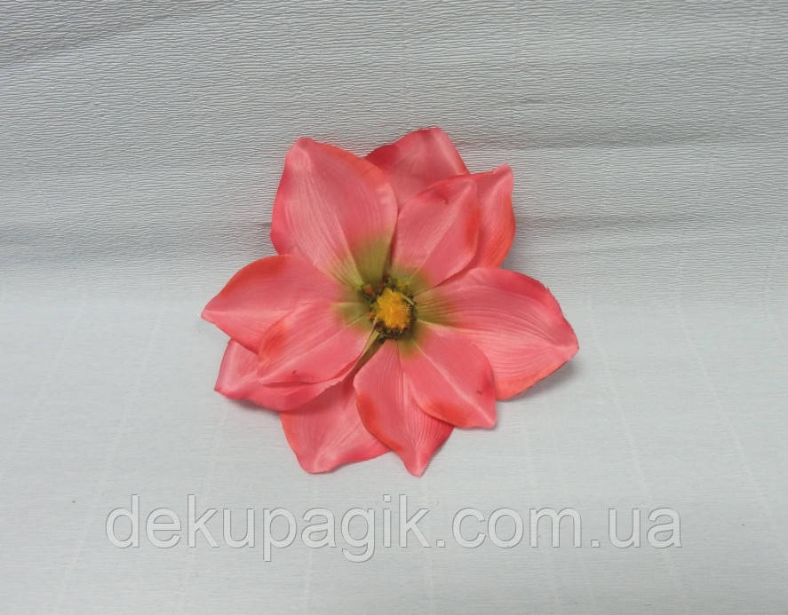 Головка Магнолії 19см, рожева, фото 1