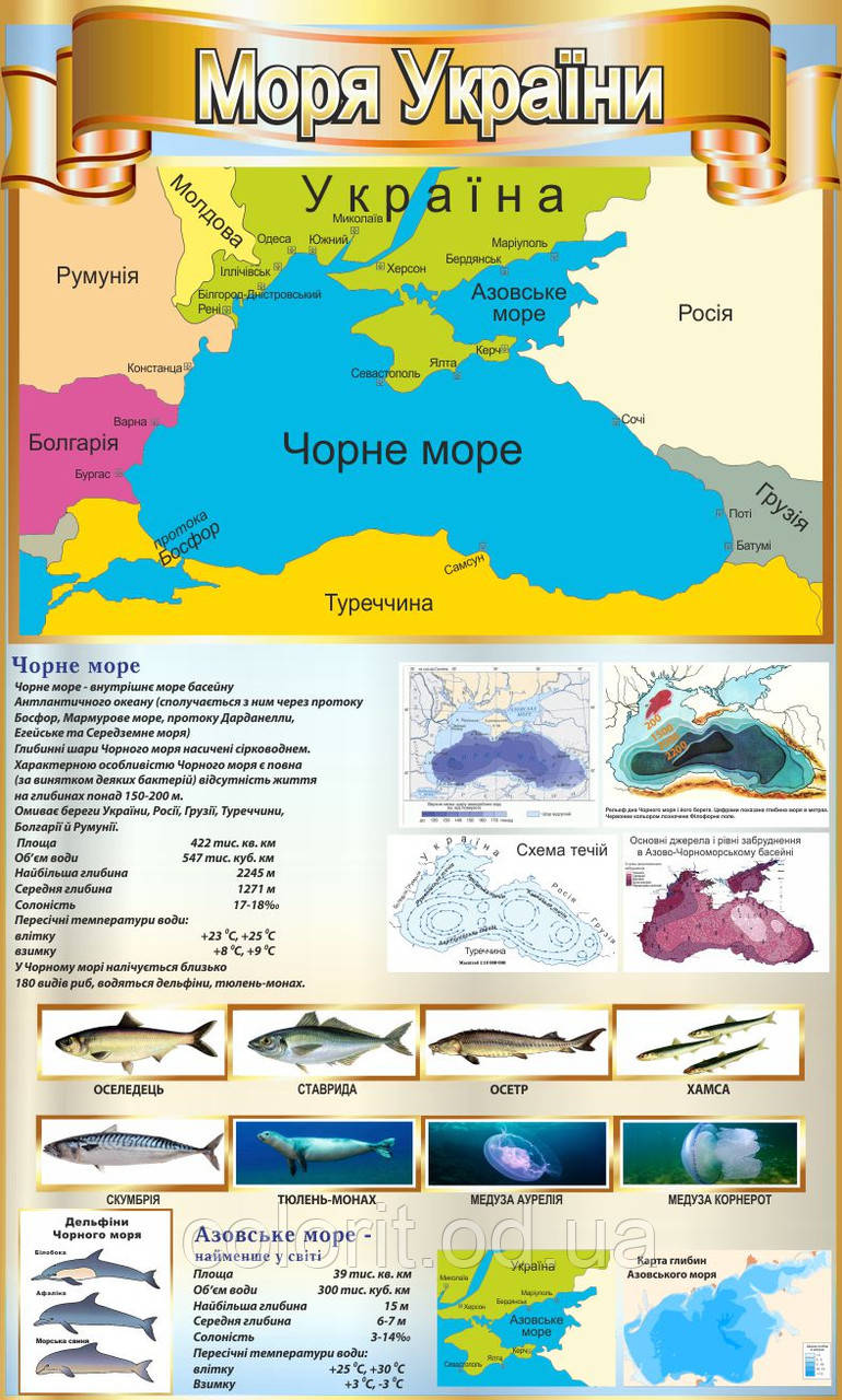 Моря України