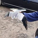 Відлякувач птахів ХИЖАК-3 від ластівок, голубів, горобців, фото 4