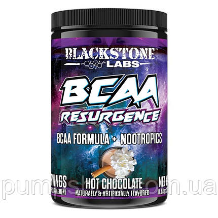 Бцаа+ноотропи BCAA Blackstone Labs Resurgence BCAA Formula + Nootropics 330 г (30 порц.), фото 1