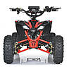 Квадроцикл електричний із мотором 350W Profi HB-EATV08-350-3 для дітей від 8 років Червоний, фото 4