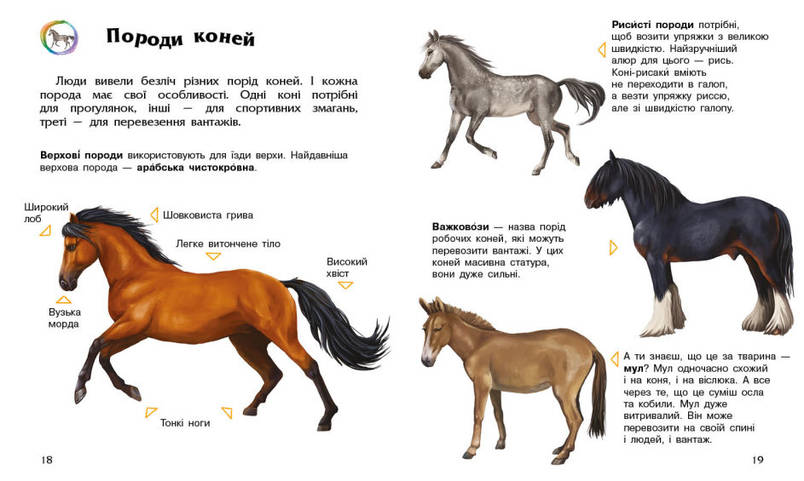 Книга для дітей "Коні. Енциклопедія дошкільника" | Ранок, фото 3