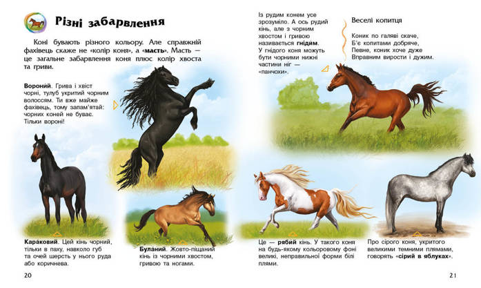Книга для дітей "Коні. Енциклопедія дошкільника" | Ранок, фото 5
