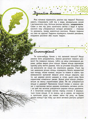 Енциклопедія для дітей "Життя лісу. Світ і його таємниці" | Ранок, фото 4