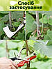 Садовий тапенер для підв'язування рослин Tapetool / Обв'язувальна машина кущів та дерев (15813), фото 6