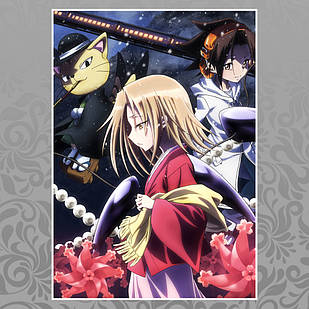 Плакат А3 Аніме Shaman King / Король Шаман 014