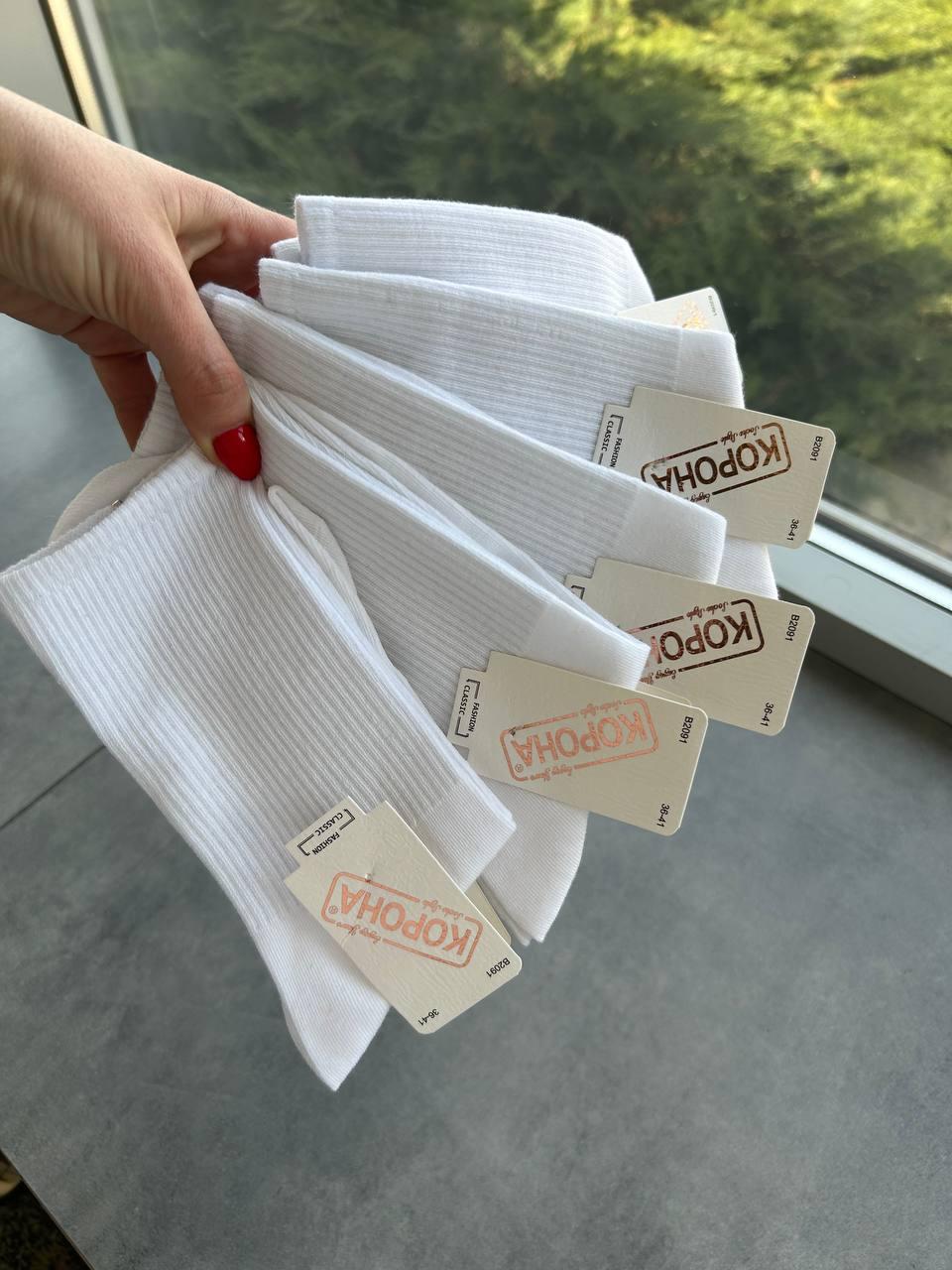 Шкарпетки жіночі В2091, фото 1