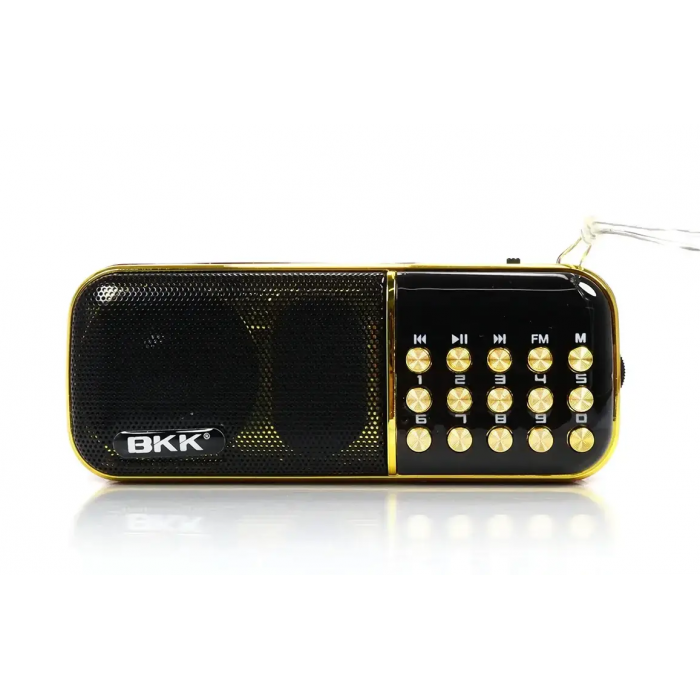 Радиоприёмник с FM MicroSD BKK B851 радио на аккумуляторе 18650 радио - фото 1 - id-p2169568351