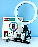Кільцева світлодіодна LED-лампа XO BGD007/MJ2 RGB 26 см регульована лампа-кільце зі штативом і тримачем, фото 4