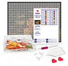 Алмазна мозаїка Чарівний політ з голограмними стразами tanya_bonya Ідейка (AMO7628), фото 2