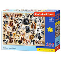 Пазлы Castorland Коллаж с собаками 200 элементов (B-222162) IN, код: 7690119