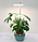 Світлодіодна фітолампа для кімнатних рослин кругла LED 10W(5V), фото 3