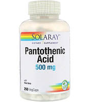 Пантотеновая кислота Solaray Pantothenic Acid 500 mg 250 Veg Caps SOR-04381 KC, код: 7519932