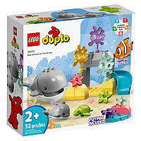 Конструктор LEGO DUPLO Town Дикие животные океана 10972, Vse-detyam