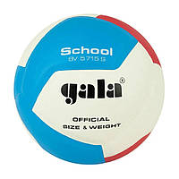 Мяч волейбольный School 12 Gala BV5715S №5, Vse-detyam