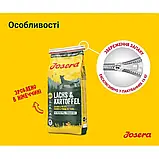 Сухий корм для собак, беззерновий з лососем та картоплею Josera Lachs&Kartoffel 15 кг, фото 3