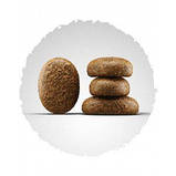 Сухий корм для дорослих собак великих порід з ягням Josera Optiness 900 г, фото 2