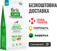 Сухой корм Brit Care Dog Grain-free Adult Large Breed для собак больших пород, беззерновой с лососем, 12 кг