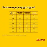 Сухий корм для дорослих собак схильних до алергії, з ягням та рисом Josera Lamm & Reis 900 г, фото 7