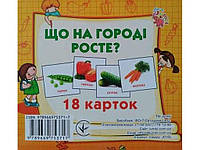 Развивающие карты мини (18 карт): Растущий на огороде ТМ Jumbi BP