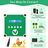 Автоматичний курник Kotsy, водонепроникний, темно-зелений, фото 4