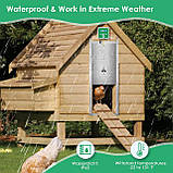 Автоматичний курник Kotsy, водонепроникний, темно-зелений, фото 5