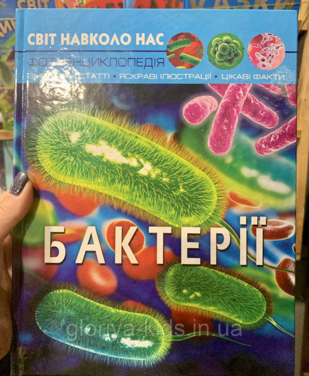 Фотоенциклопедія  Бактерії. Світ навколо нас