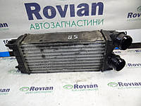 Радиатор интеркулера (1,6 HDI) Citroen BERLINGO 2 2008-2012 (Ситроен Берлинго), 9684212480 (БУ-262798)