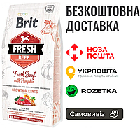 Сухой корм Brit Fresh для щенков и молодых собак больших пород, с говядиной и тыквой, 2,5 кг