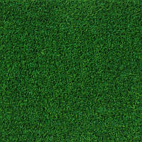 Декоративна трава Congrass Java 20 4.0 m