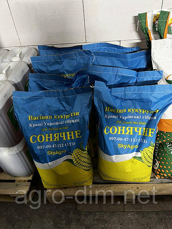 Насіння кукурудзи ДН Фієста, фото 1