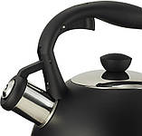Чайник зі свистком 2 л чорний матовий з неіржавкої сталі DP97184 Ofenbach SC, код: 8390011, фото 4