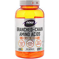 Аминокислота BCAA NOW Foods Sports Branched Chain Amino Acids 240 Caps NF0054 TV, код: 8208103