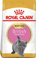 Сухой корм для котят Royal Canin Kitten British Shorthair 2 кг (3182550816533) (2566020) BM, код: 7581553