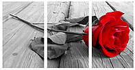 Модульная картина Декор Карпаты 100х53 см Роза (M3-red rose on wood) BM, код: 184450