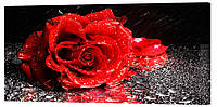 Картина на холсте Декор Карпаты Одинокая роза 50х100 см (c225) BM, код: 741338