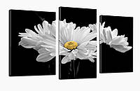 Модульная картина ProfART 530_3 70 x 110 см Белые цветы (hub_rtkF97850) BM, код: 1225680
