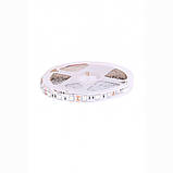Світлодіодна фітострічка Venom SMD 5050 60д.м. негерметична (FS-4R1B-50506012), фото 4