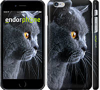 Пластиковый чехол Endorphone на iPhone 6 Plus Красивый кот (3038t-48-26985) EJ, код: 1825315