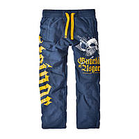 Спортивные брюки Thor Steinar Sture Blue (XL) KC, код: 8139647