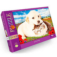 Пазл классический Danko Toys C2000-01-01-10 2000 эл Friendship KC, код: 7756332