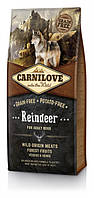 Сухой корм для взрослых собак Carnilove Adult Raindeer 12 кг KC, код: 2644371