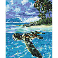 Картина по номерам Brushme Тропическая черепаха (BS51422) KC, код: 7845995