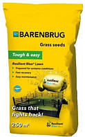 Семена Barenbrug Resilient Blue 5 кг (RB5)(7585065961754)