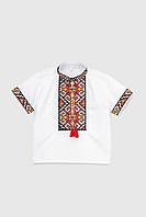 Рубашка с вышивкой для мальчика Козачок Филипп 116 см Красный (2000989824671) z114-2024